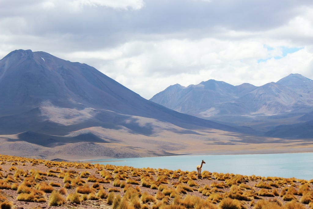 17 National Parks on Chile's Wildest Route