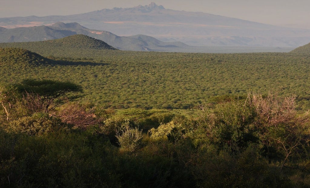 Aerial view of luxury tented camp nestled in Kenyan savanna with acacia trees and rugged mountains in golden afternoon light