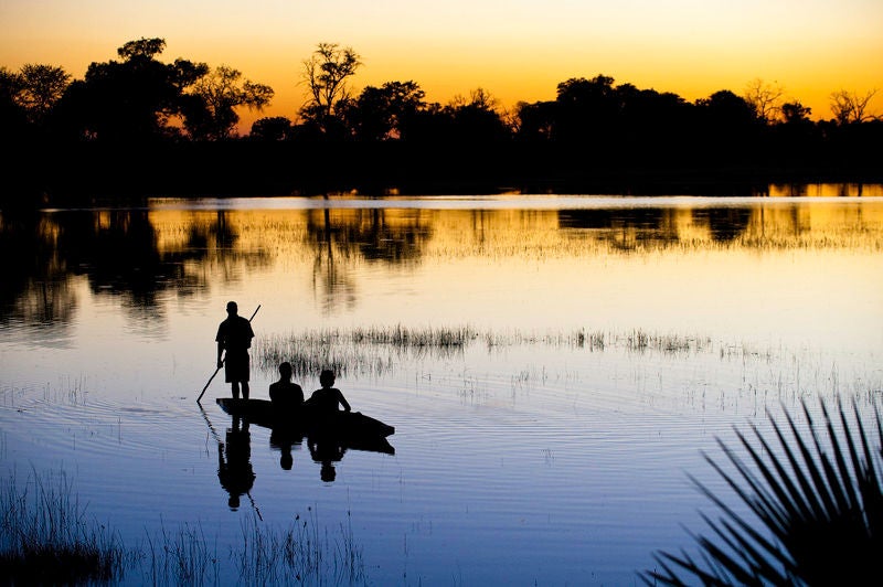 Elevated luxury safari lodge with thatched-roof suites on stilts over Okavango Delta wetlands, surrounded by palm trees at sunset