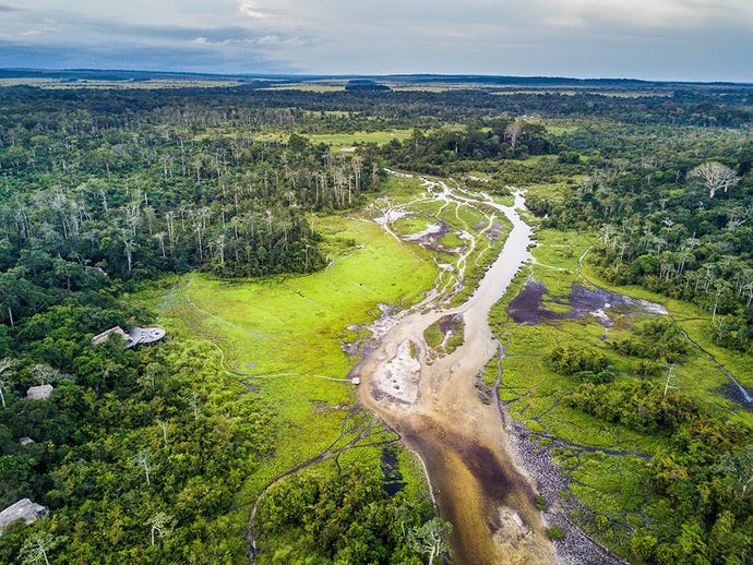 The swampland of Odzala-Kokoua National Park