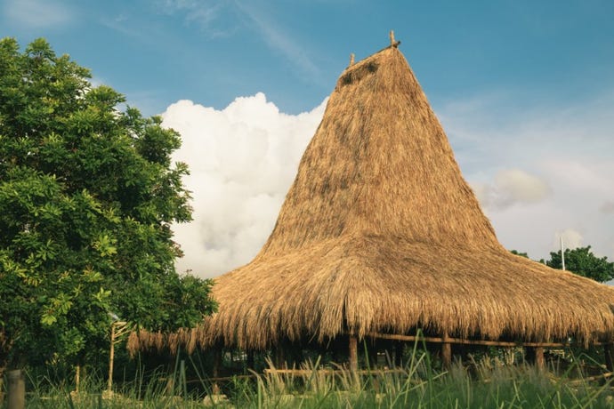 Traditional Sumbanese thatched roofs
