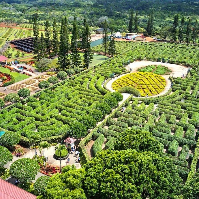 Dole Pineapple plantation gardens
