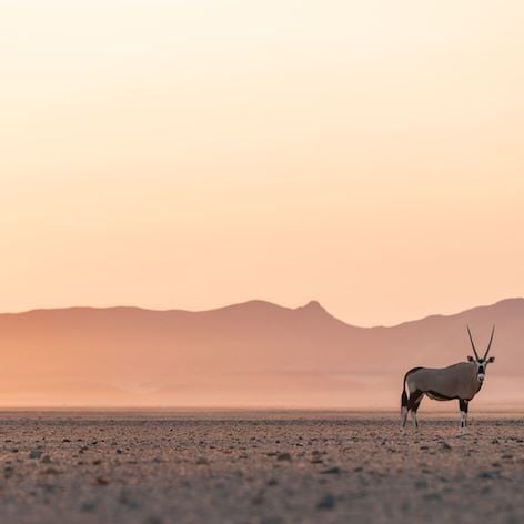 Luxurious eco-lodge nestled in stark Namibian desert landscape, with rustic-chic thatched-roof suites and panoramic views of golden sand dunes at sunset