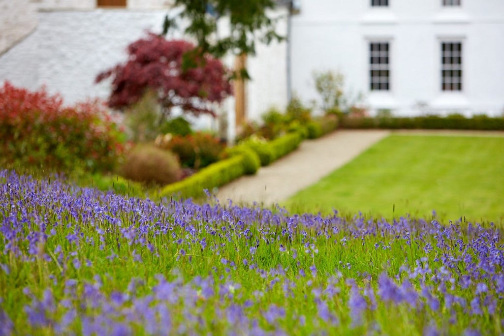 Luxurious countryside manor in lush Welsh landscape, featuring elegant stone facade, manicured gardens, and verdant rolling hills near Narberth, United Kingdom.