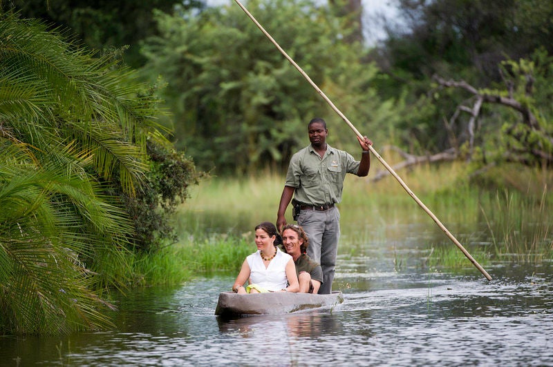 Elevated wooden luxury safari lodge with thatched roof nestled among palm trees overlooking vast Okavango Delta floodplains