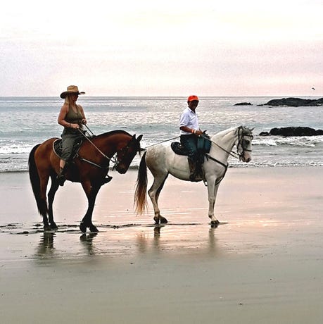 Beach horseriding
