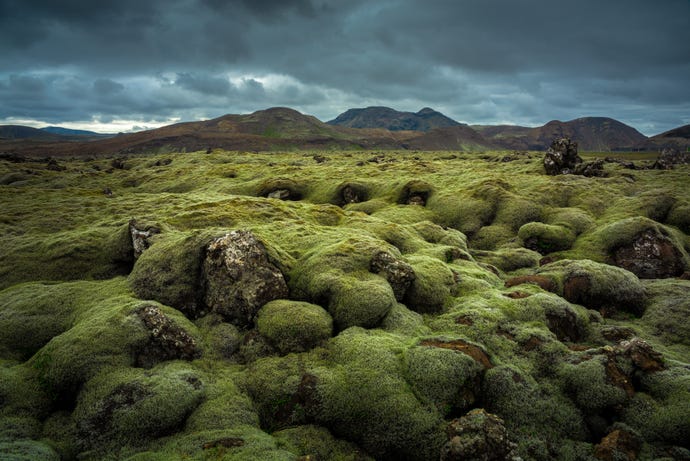 The mesmerizing and alien-like landscape of the Eldgjarhraun lava fields
