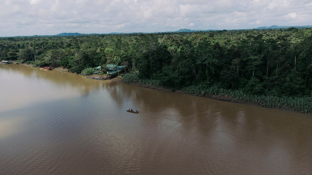 Lush Borneo rainforest along Kinabatangan River with wooden eco-lodge, wildlife viewing platform, and distant proboscis monkeys in verdant landscape