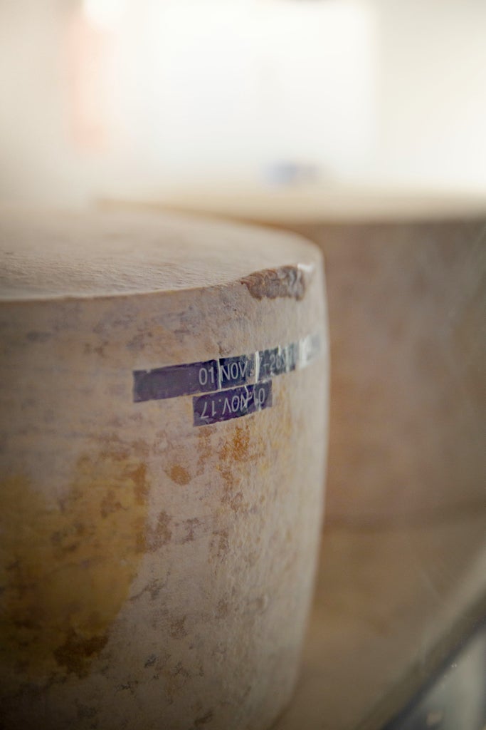 Traditional cheese artisan demonstrating pecorino-making process in rustic Tuscan farmhouse amid copper vats and aging wheels of cheese