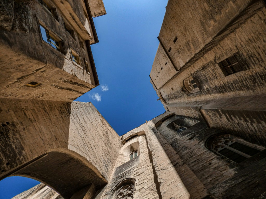 Elegant historic walking tour capturing Avignon's medieval Papal Palace, vibrant Provençal streets, and sun-drenched limestone architecture with lush summer greenery