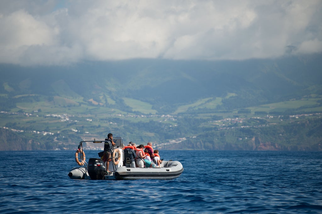 RIB speedboat cutting through azure waters near coastal cliffs of Portugal, white-capped waves and scenic rocky landscape in background