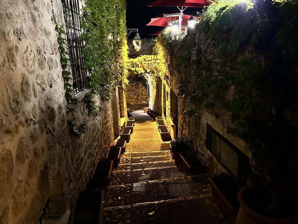 Elegant stone boutique hotel with ivy-covered facade in historic French village, classic architecture, soft golden afternoon light