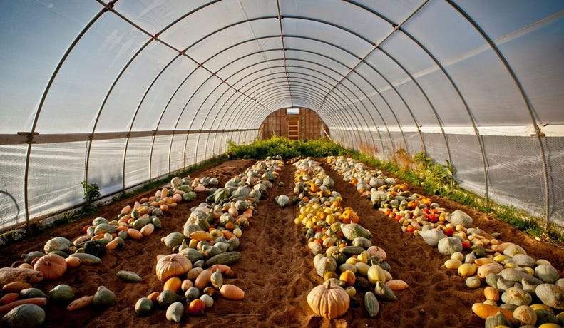 The veggies are grown on-site at the restaurant's own farm