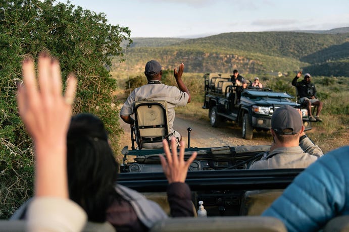 Being on a private game reserve, running into other vehicles is an uncommon occurrence!
