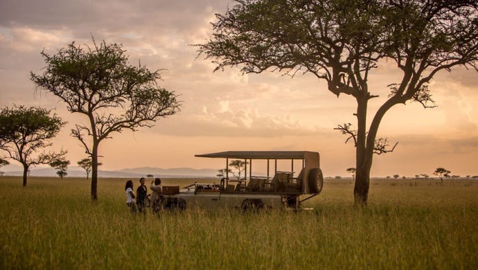 Experience some of the most epic game drives around the Grumeti Reserve
