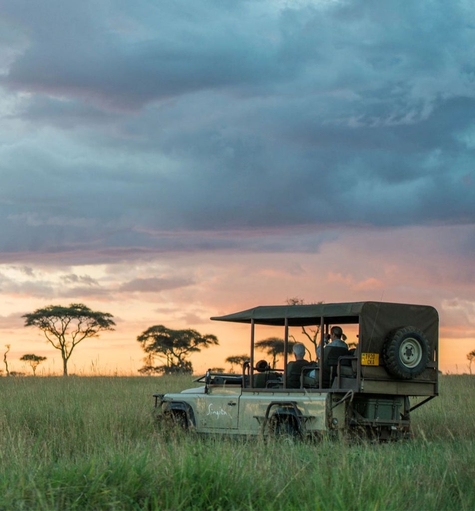 Elegant stone-built safari lodge with infinity pool overlooking vast Serengeti plains, framed by acacia trees at golden hour