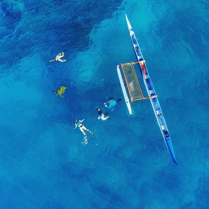 Outrigger Canoe and Whale Watching
