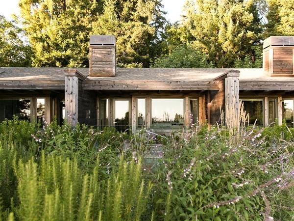 Luxurious cliffside hotel nestled among redwood trees, overlooking dramatic Pacific coastline with elegant architectural design and natural wooden elements