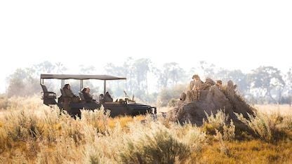 Luxurious safari tented camp nestled in Botswana's wilderness, featuring elegant wooden decks overlooking a serene Delta landscape with wildlife in the distance.