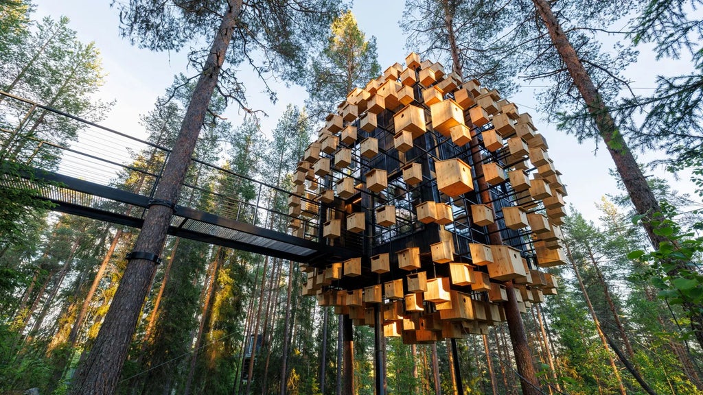 Suspended mirrored cube suite nestled among pine trees in Swedish forest, reflecting surrounding woodland and showcasing innovative architectural design