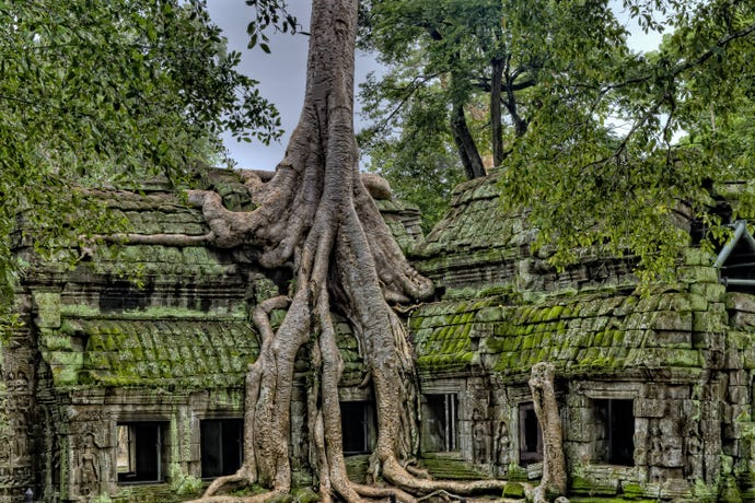 Ta Phrom AKA Tomb Raider Temple
