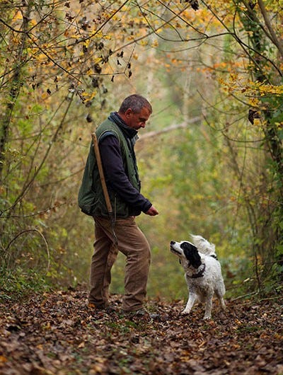 Truffle hunting in Tuscany
