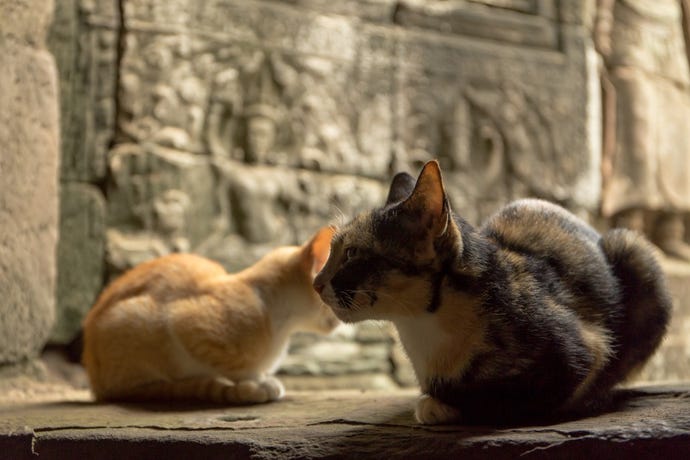 Two friends at the Bayon temple