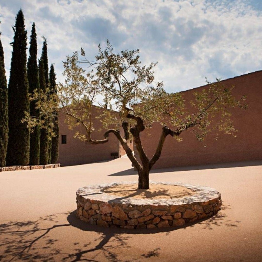 Luxurious Spanish winery hotel with rustic stone architecture, surrounded by lush vineyards and rolling hills under golden afternoon sunlight.