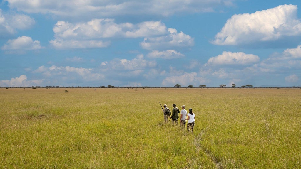 Luxurious safari lodge overlooking Serengeti grasslands, featuring infinity pool, thatched-roof suites and private viewing deck at sunset