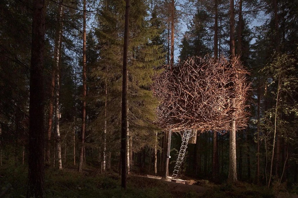 Suspended wooden treehouse room designed like a bird's nest, camouflaged among trees with rustic exterior and minimalist Scandinavian interior in Swedish forest