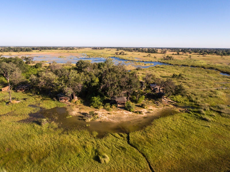 Luxurious safari lodge with elevated walkways connecting tented suites, nestled among palm trees overlooking Okavango Delta wetlands