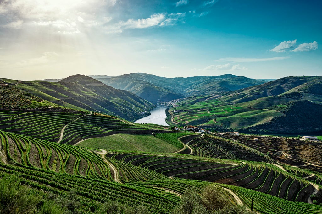 Historic luxury hotel overlooking Douro Valley vineyards, featuring traditional stone architecture and elegant terraced gardens