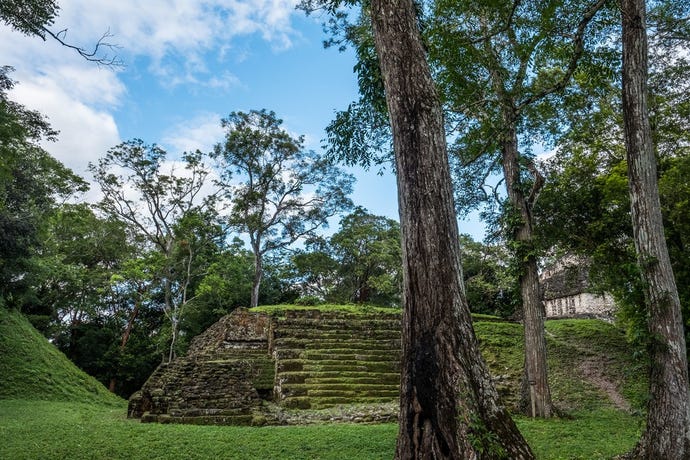 The American archaeologists named the city Uaxactún, a reference to the Maya calendar that also sounds just like 'Washington', home to the expedition funders, the Carnegie Institute