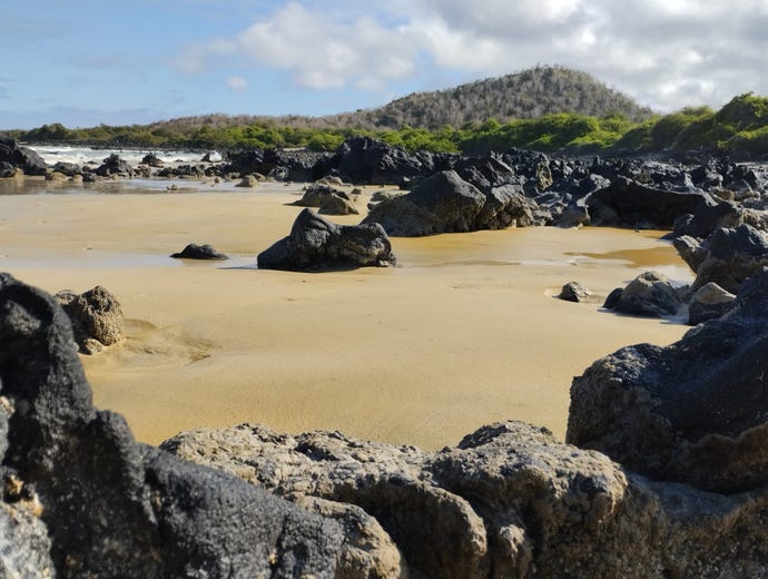 Garrapatero Beach
