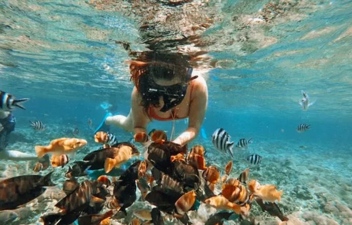 Snorkeling in Nusa Lembongan
