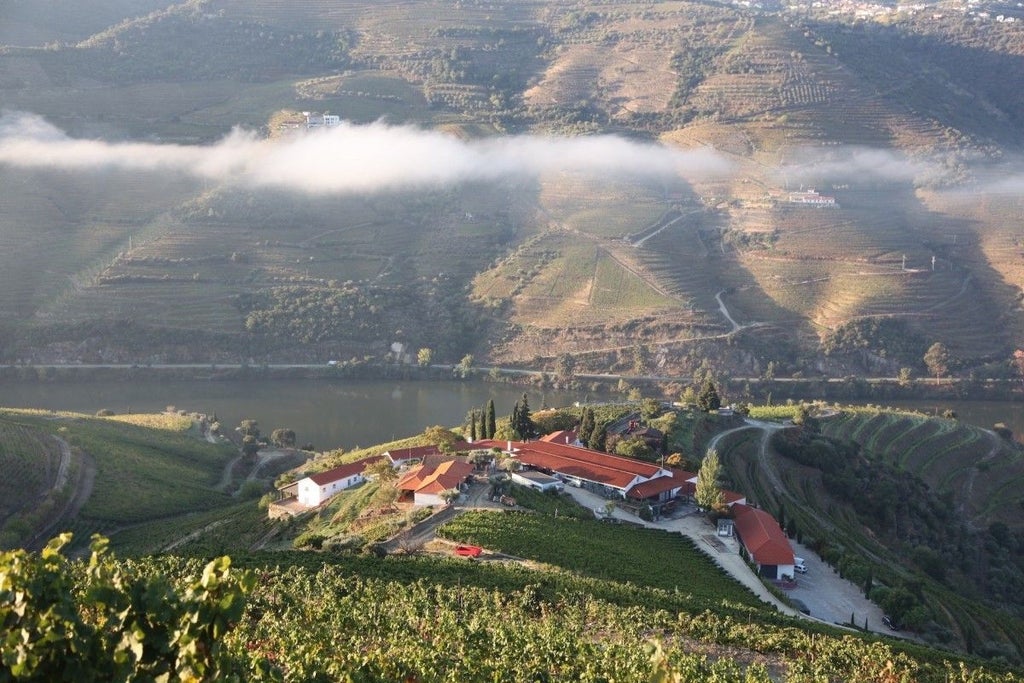 Elegant stone manor house overlooking terraced vineyards in Douro Valley, featuring classic Portuguese architecture and manicured gardens