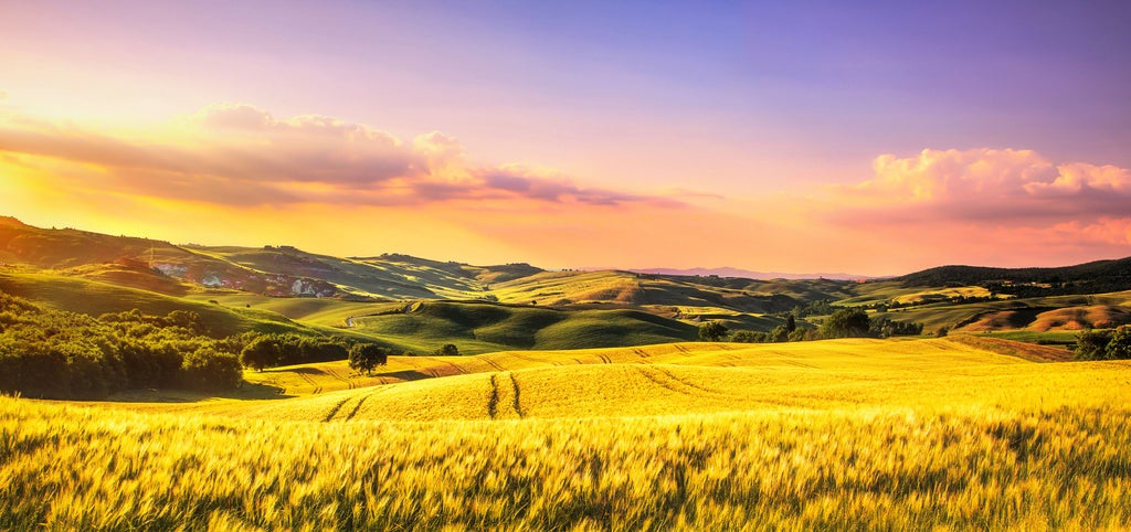 Rustic stone villa perched on rolling Tuscan hillside at sunset, surrounded by cypress trees and manicured vineyard rows