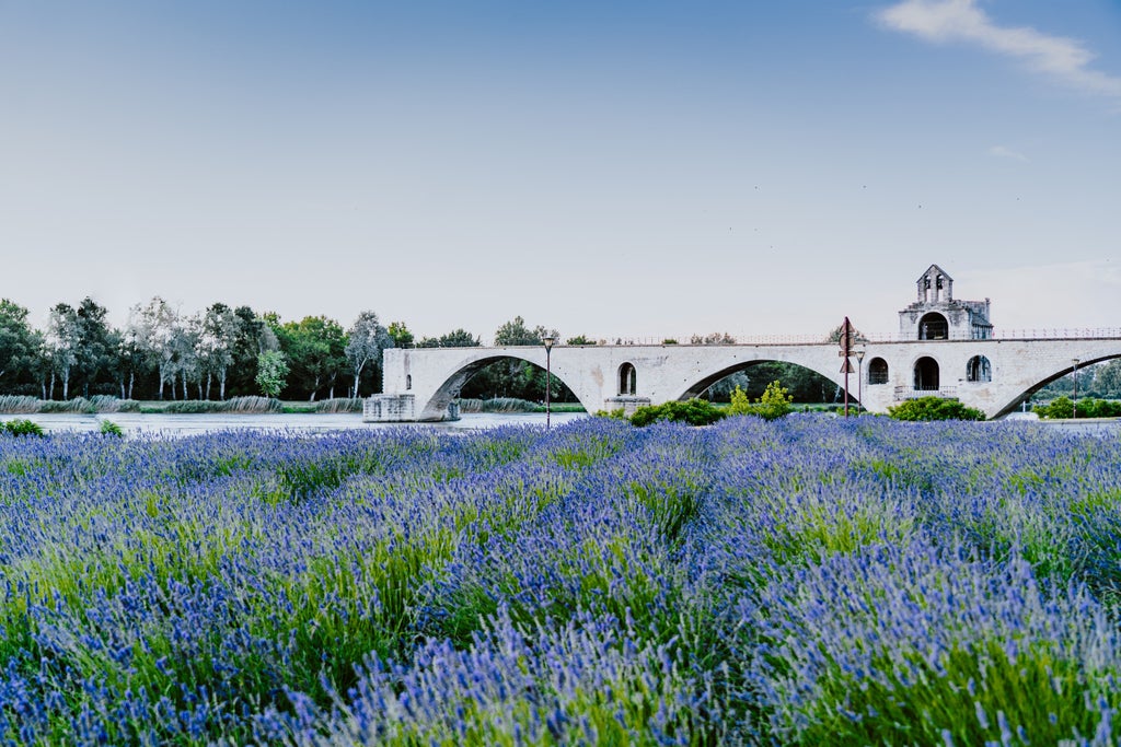 Aerial view of historic Avignon with iconic Palace of the Popes and Pont Saint-Bénézet bridge against scenic Provence landscape