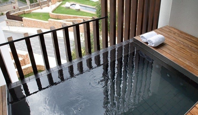 The private zen plunge pool in your room
