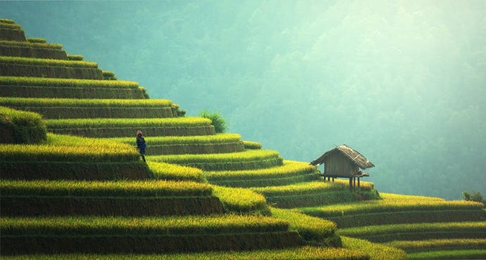 The rice terraces of Sapa stretching as far as the eye can see