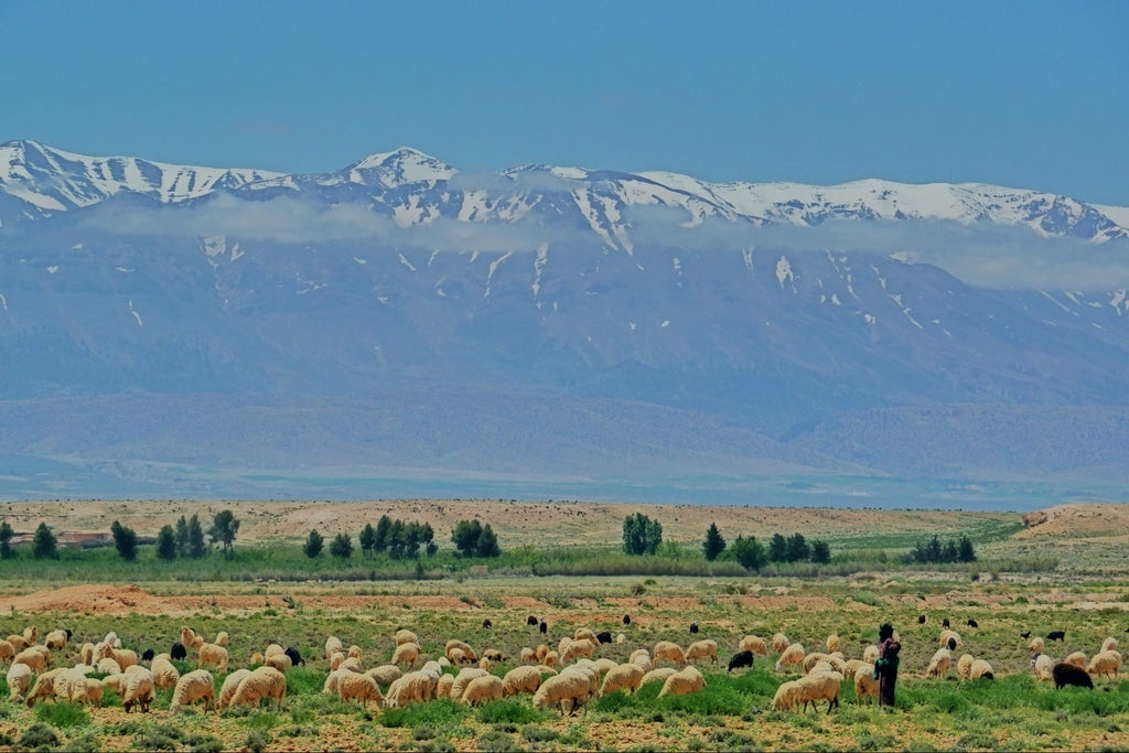 Rugged Atlas Mountains landscape with luxurious hikers traversing rocky terrain, traditional Berber village, and sweeping panoramic vista of golden sunlight