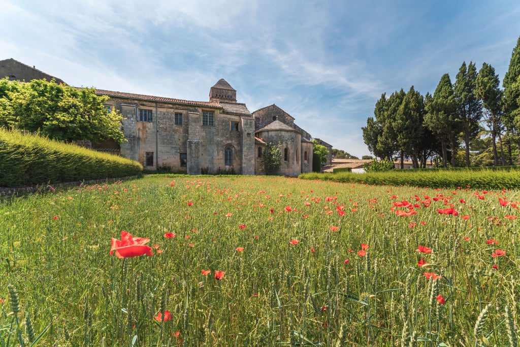 Vibrant sunflower fields and lavender landscapes of Provence, capturing Van Gogh's iconic golden light and impressionist brushstrokes across rolling French countryside