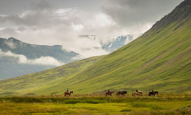 Horseback Riding
