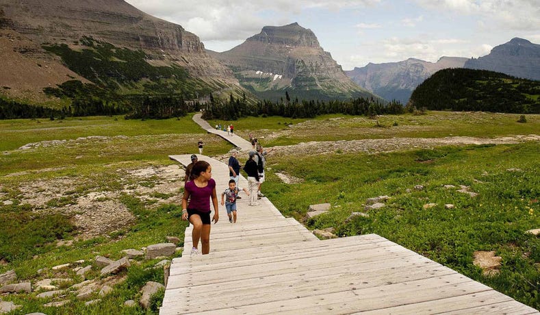 Logan Pass
