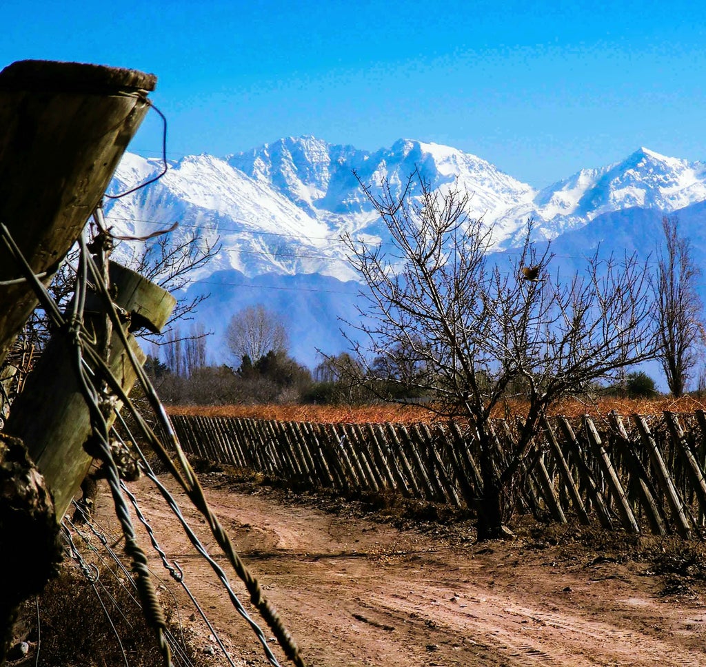 Luxurious vineyard estate in Mendoza with snow-capped Andes mountains backdrop, terra cotta building and lush grape vines at sunset