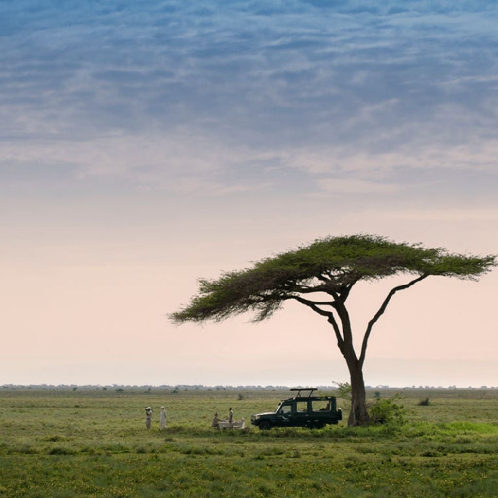 Luxurious safari tent overlooking Serengeti plains at sunset, with canvas walls, elegant furnishings, and natural wood accents