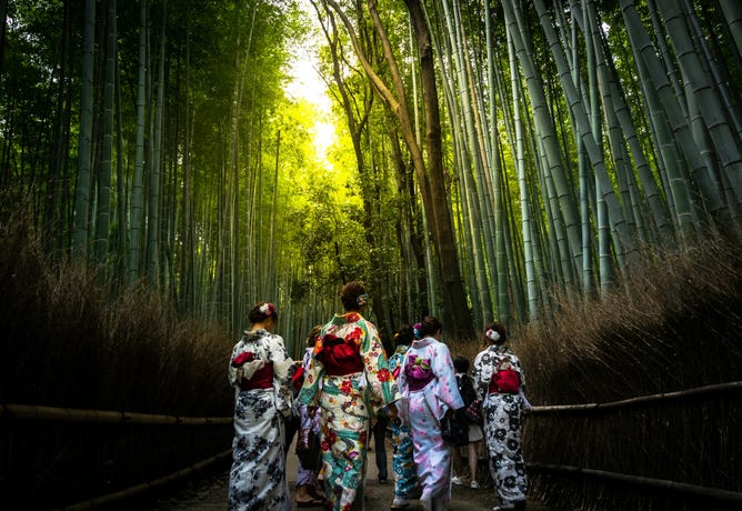 Bamboo Forest