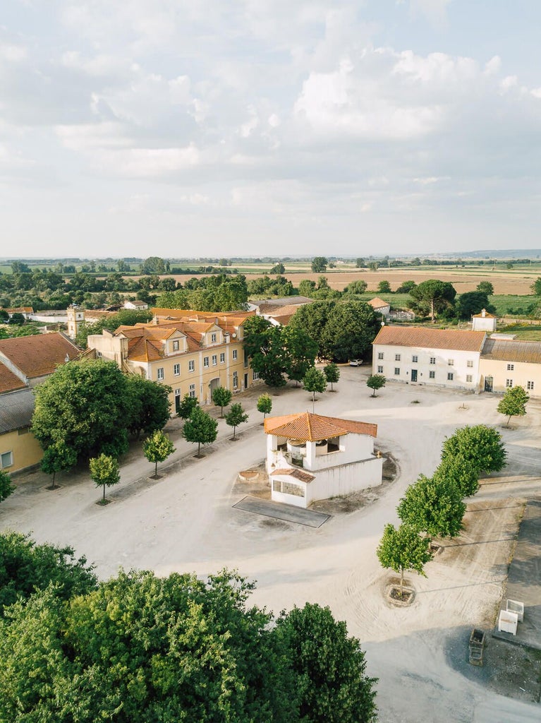 Rustic stone manor surrounded by lush vineyards, with elegant stone terrace and swimming pool overlooking scenic Portuguese countryside landscape