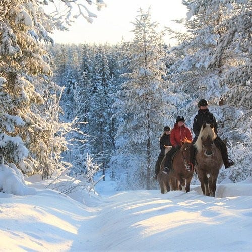 Horseback riding in Finland
