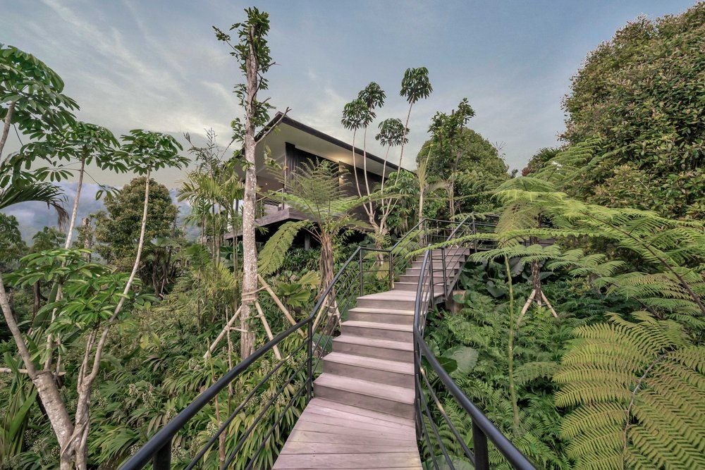 Luxurious wooden cabin suite with floor-to-ceiling windows, private balcony, and panoramic mountain views in tropical Munduk forest